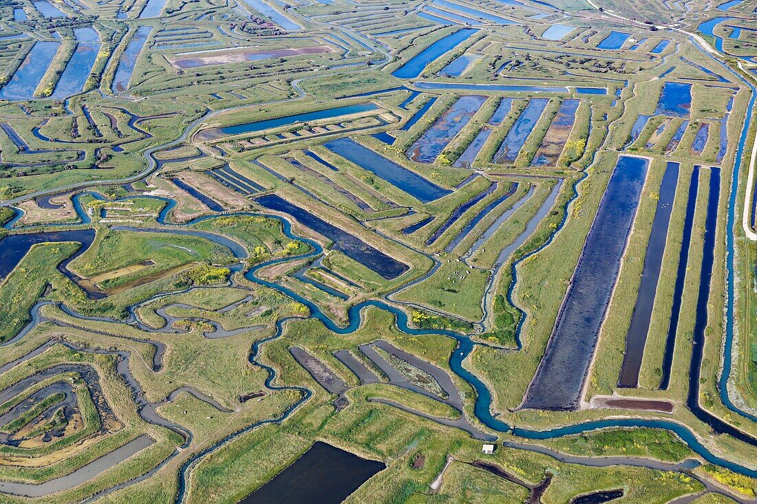 Frankreich, Charente Maritime, Ile d'Oleron, Saint Pierre d'Oleron, Les Salines Sümpfe (Luftaufnahme)