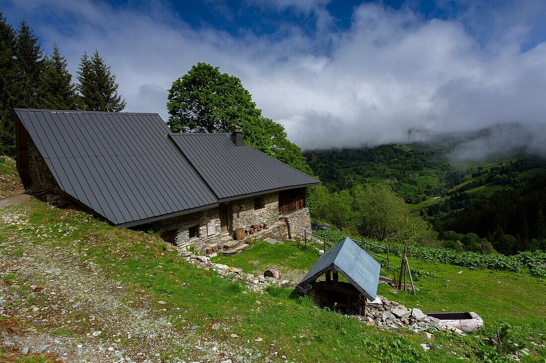 Frankreich, Savoyen, Montsapey, das Chalet du Tour, ehemaliges alpines Gebäude aus der Mitte des 19. Jahrhunderts auf 1400 m Höhe an den Wegen von La Lauzière, das am Lotto des Kulturerbes 2018 teilnimmt