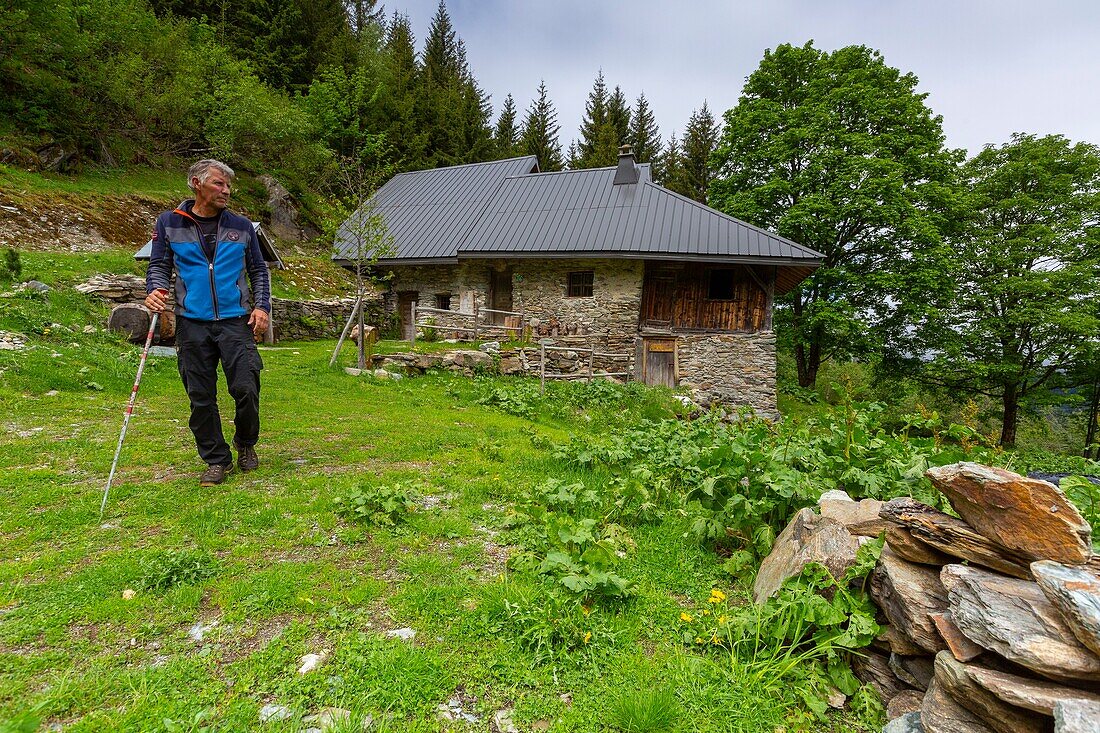 France, Savoie, Montsapey, the chalet du Tour, former alpine building dating from the mid-nineteenth century located at 1400 m altitude on the paths of La Lauzière, and participating in the 2018 Heritage Lotto