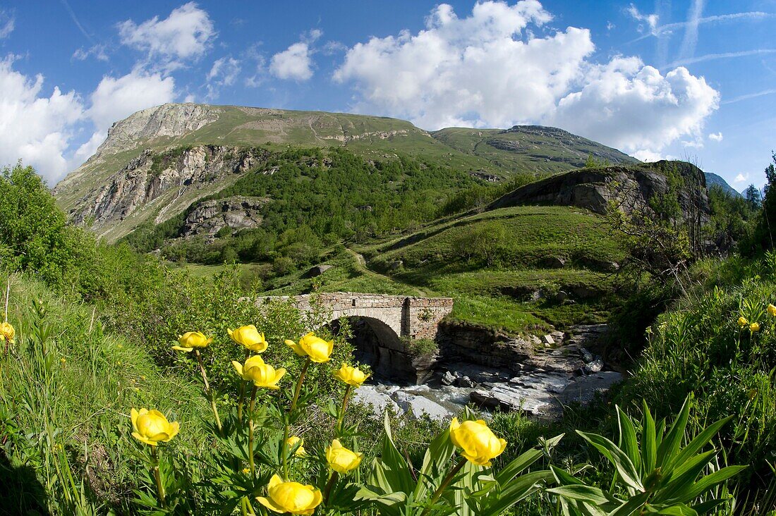 France, Savoie, Haute Maurienne, Vanoise massif, national park, Bonneval sur Arc, a bridge built on the Arc river downstream from the hamlet of Ecot