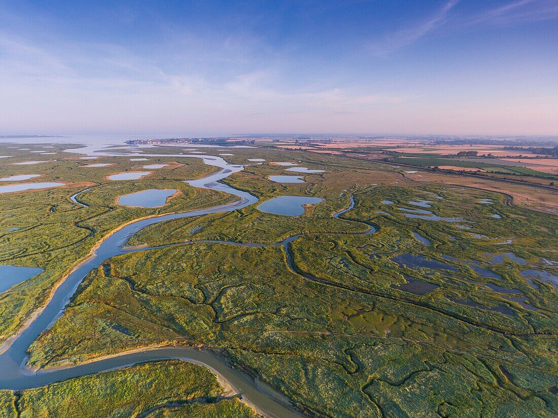 Frankreich, Somme, Baie de Somme, zwischen Noyelles sur Mer und Le Crotoy, Flug über den Grund der Baie de Somme, violette Flecken sind Seerosen, Teiche sind die Pools der Jagdhütten (Luftaufnahme)