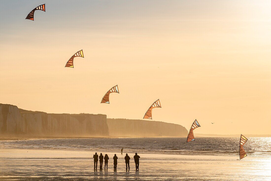 France, Somme, Ault, team of cervicists who trains synchronized kite flying on the beach of Ault near the cliffs at sunset