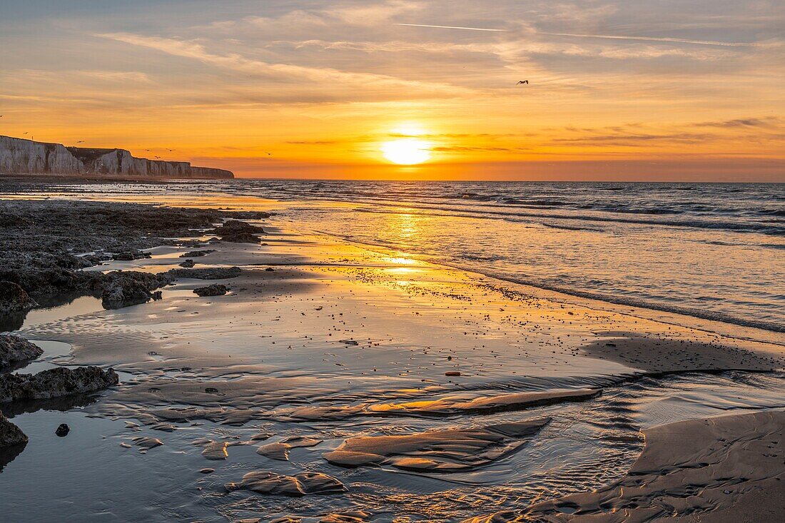 Frankreich, Somme, Ault, Sonnenuntergang auf den Klippen vom Strand von Ault, Wanderer und Fotografen kommen, um die Landschaft und Seevögel zu bewundern