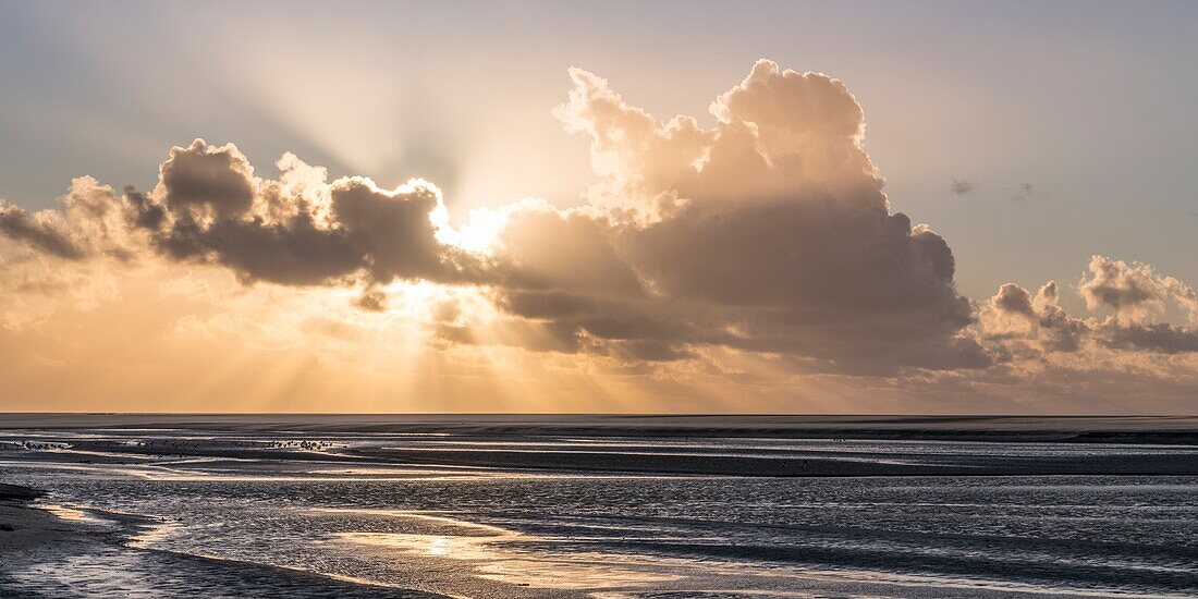 France, Somme, Baie de Somme, Natural Reserve of the Baie de Somme, Beaches of the Maye, dusk in the Baie de Somme at low tide