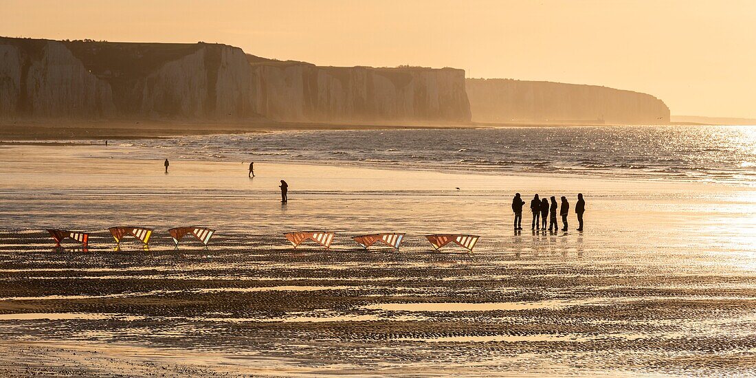 Frankreich, Somme, Ault, Team von Cervicisten, die das synchrone Drachensteigen am Strand von Ault in der Nähe der Klippen bei Sonnenuntergang trainieren