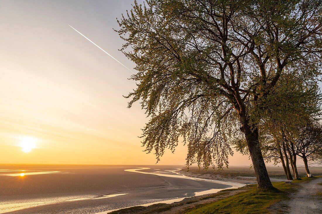 Frankreich, Somme, Baie de Somme, Saint Valery sur Somme, Morgendämmerung auf der Baie de Somme von den Docks aus bei Ebbe