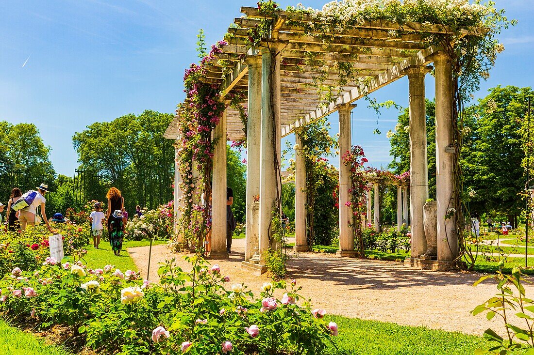 Frankreich, Rhone, Lyon, Park von La Tete d'Or, die Roseraie Internationale