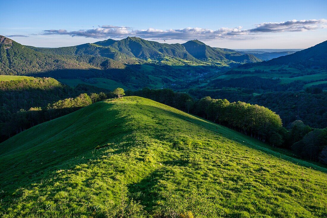 Frankreich, Cantal, Regionaler Naturpark der Vulkane der Auvergne, monts du Cantal, Cantal-Berge, vallee de Mandailles (Mandailles-Tal), puy of Usclade und puy of Elanceze