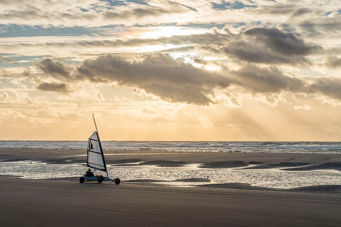 France, Somme, Marquenterre, Quend-Plage, The large sandy beaches of the windswept coast of Picardy are an ideal place for the practice of the sail-hauler, at sunset