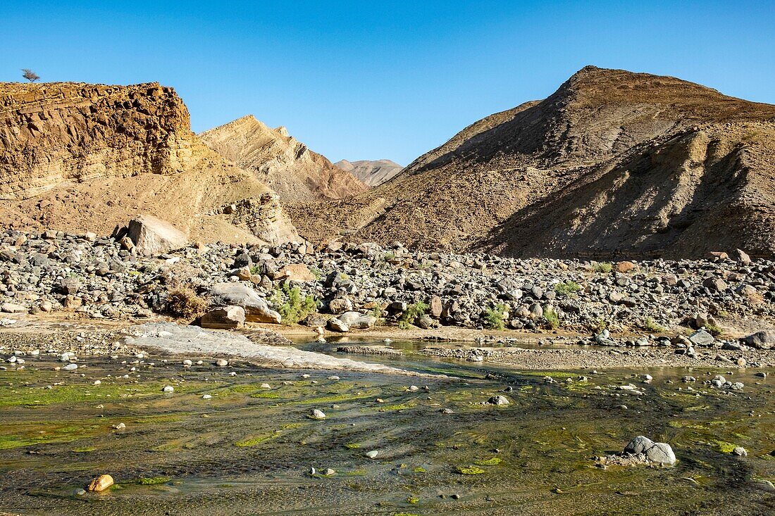 Äthiopien, Afar-Regionalstaat, Wadi Saba