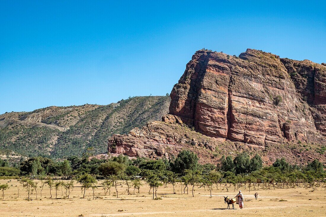 Äthiopien, Regionalstaat Tigray, Gheralta-Gebirge, Frau und Esel