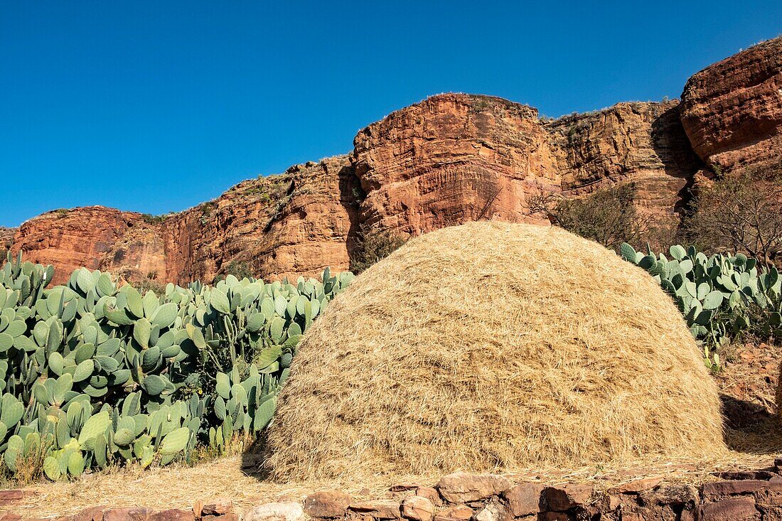 Äthiopien, Regionalstaat Tigray, Gheralta-Gebirge, Dorf