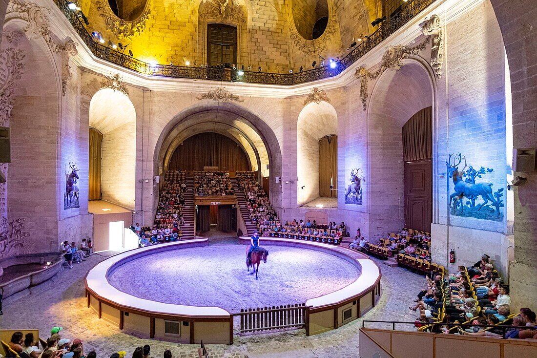 France, Oise, Chantilly, the castle of Chantilly, the Grandes Ecuries (Great Stables), equestrian show