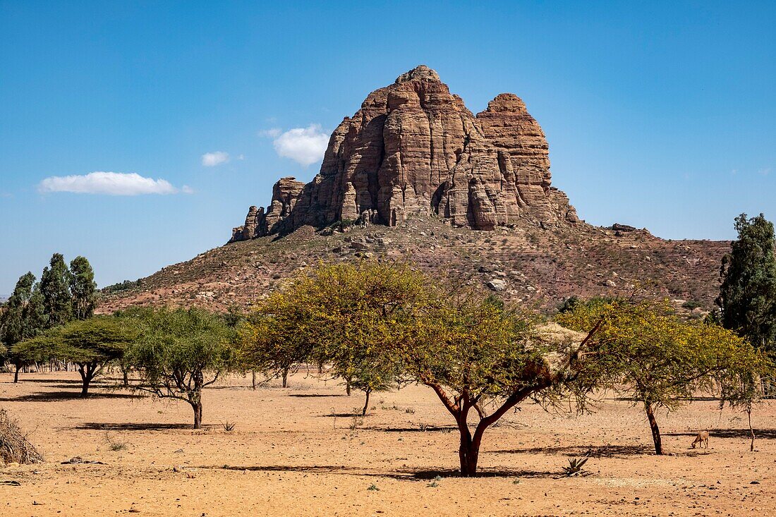 Äthiopien, Regionalstaat Tigray, Gheralta-Gebirge, Landschaft