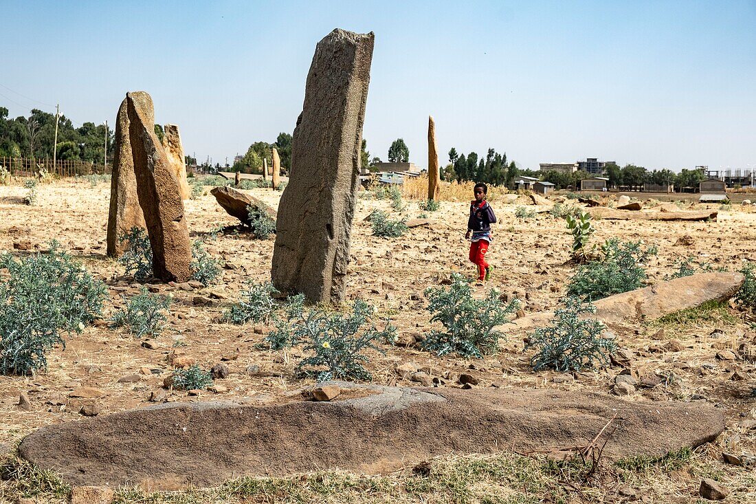 Äthiopien, Regionalstaat Tigray, Stadt Axoum, alte Stadt, die von der UNESCO zum Weltkulturerbe erklärt wurde, Stelenfeld Gudit