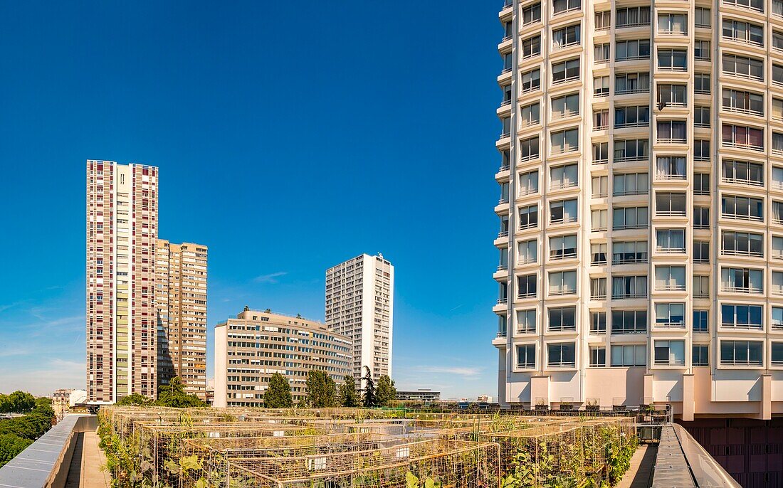 France, Paris, urban farmers Peas & Love, a new garden concept on the roof of the buildings, here on the Yooma Hotel of the Front de Seine