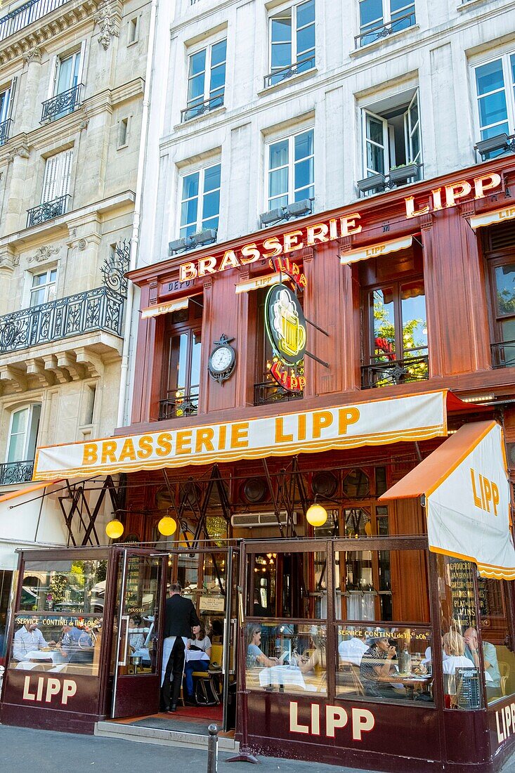 France, Paris, Saint Germain des Pres, the Lipp brewery