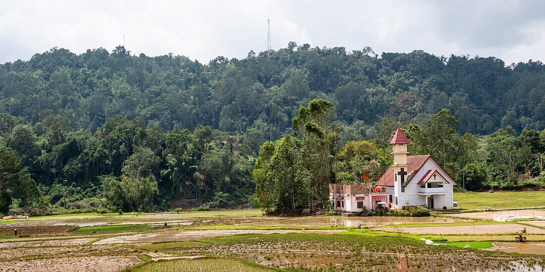 Indonesien, Insel Sulawesi, Toraja-Land, Tana Toraja, Rantepao-Gebiet, Sadan Tobarana, Kirche in Reisfeldern