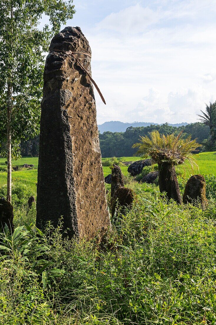 Indonesien, Insel Sulawesi, Toraja-Land, Tana Toraja, Rantepao-Gebiet, Lempo, in Stein gehauenes Grabmal