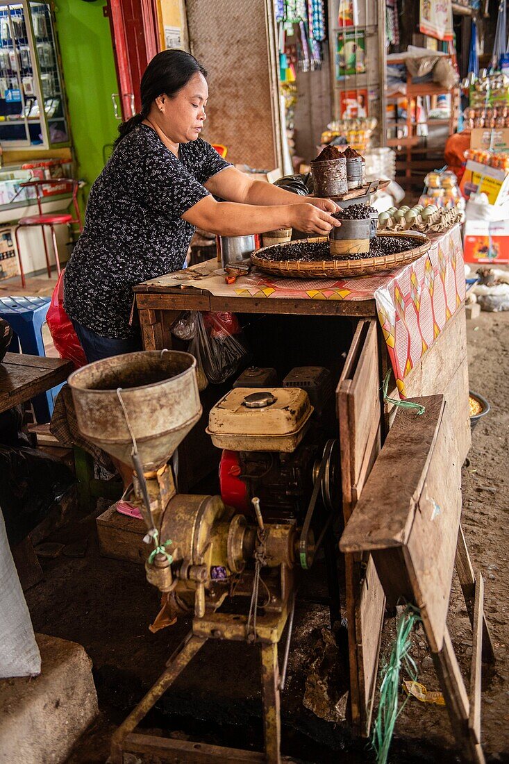 Indonesien, Insel Sulawesi, Toraja-Land, Tana Toraja, Tana Toraja, Rantepao, berühmtes Toraja-Kaffeegeschäft