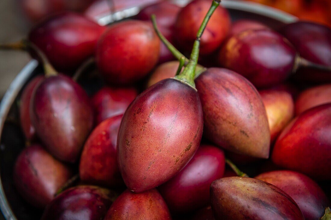 Indonesia, Sulawesi island, Toraja country, Tana Toraja, Tana Toraja, Rantepao market, Tamarillo