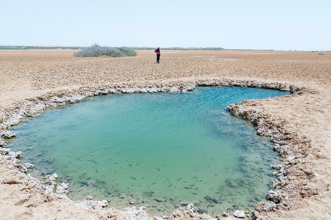 Marokko, Oued Ed-Dahab, Dakhla, Imlili, Figur am Rande eines Salzwasserlochs mitten in der Wüste