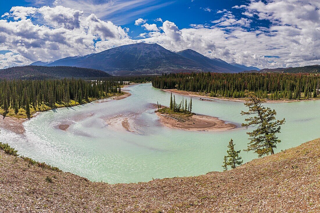 Kanada, Alberta, Kanadische Rocky Mountains als UNESCO-Welterbe, Jasper National Park, der Athabasca-Fluss bei Jasper mit Whistlers Mountain im Hintergrund