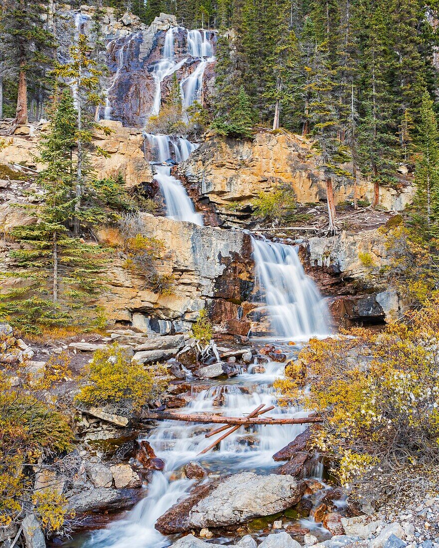 Kanada, Alberta, Kanadische Rocky Mountains, die zum UNESCO-Weltnaturerbe gehören, Jasper National Park, Icefields Parkway, Tangle Creek Wasserfälle