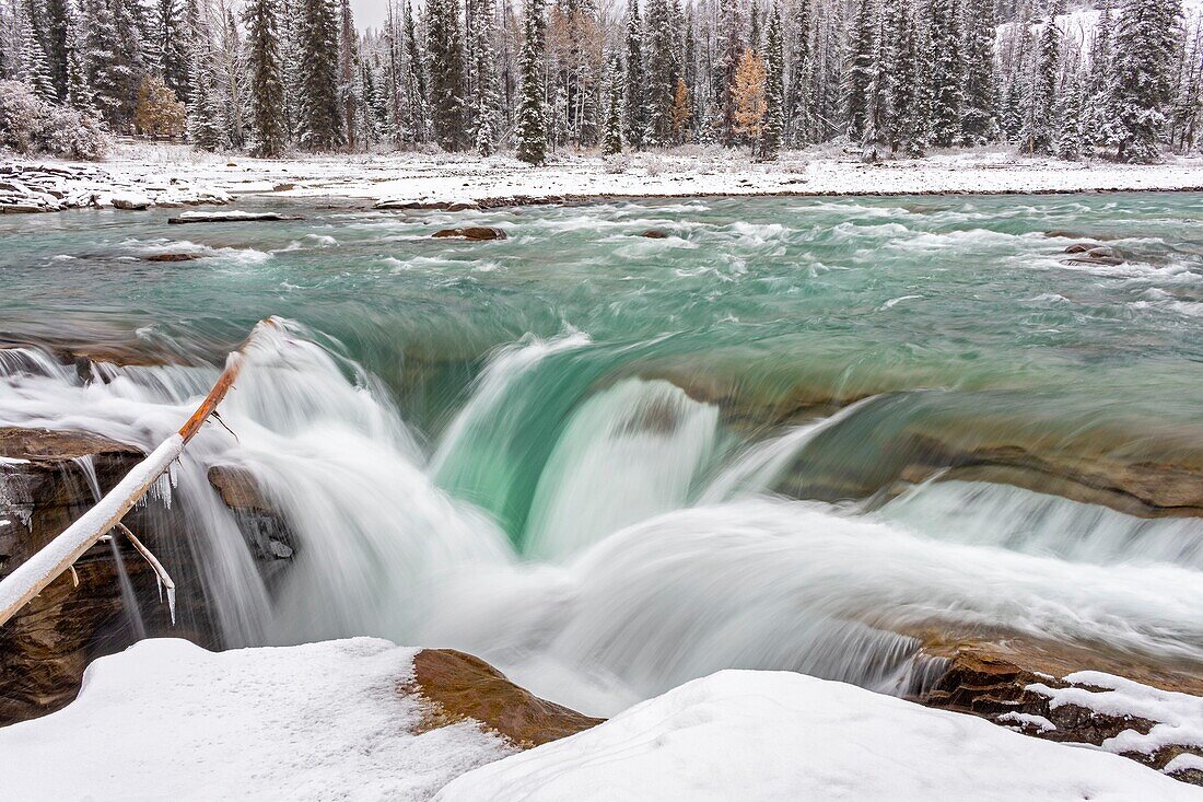 Kanada, Alberta, Kanadische Rocky Mountains, die zum UNESCO-Weltnaturerbe gehören, Jasper National Park, Icefields Parkway, Tangle Creek Wasserfälle