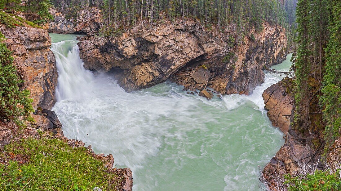 Kanada, Alberta, Kanadische Rocky Mountains, die zum UNESCO-Welterbe gehören, Jasper National Park, untere Sunwapta Falls am Athabasca River