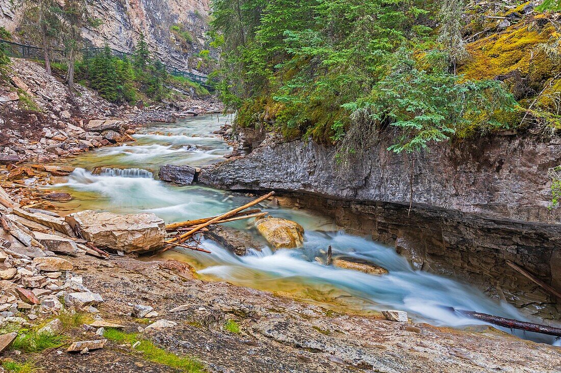 Kanada, Alberta, Kanadische Rocky Mountains, die zum UNESCO-Welterbe gehören, Banff-Nationalpark, Johnston Canyon