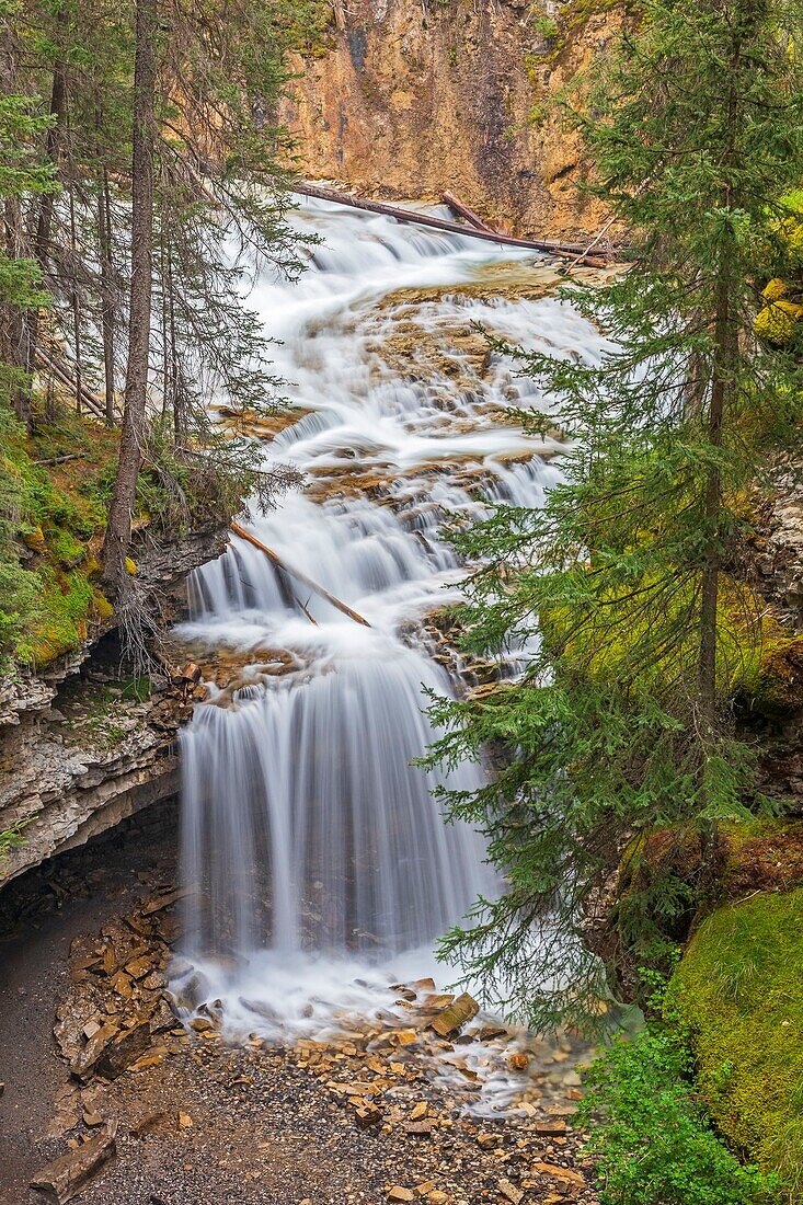 Kanada, Alberta, Kanadische Rocky Mountains, die zum UNESCO-Welterbe gehören, Banff National Park, Johnston Canyon Lower Falls im Winter