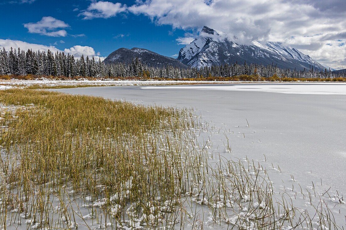 Kanada, Alberta, Kanadische Rocky Mountains, die zum UNESCO-Welterbe gehören, Banff National Park, Vermillion Lake und Mount Rundle in der Nähe der Stadt Banff