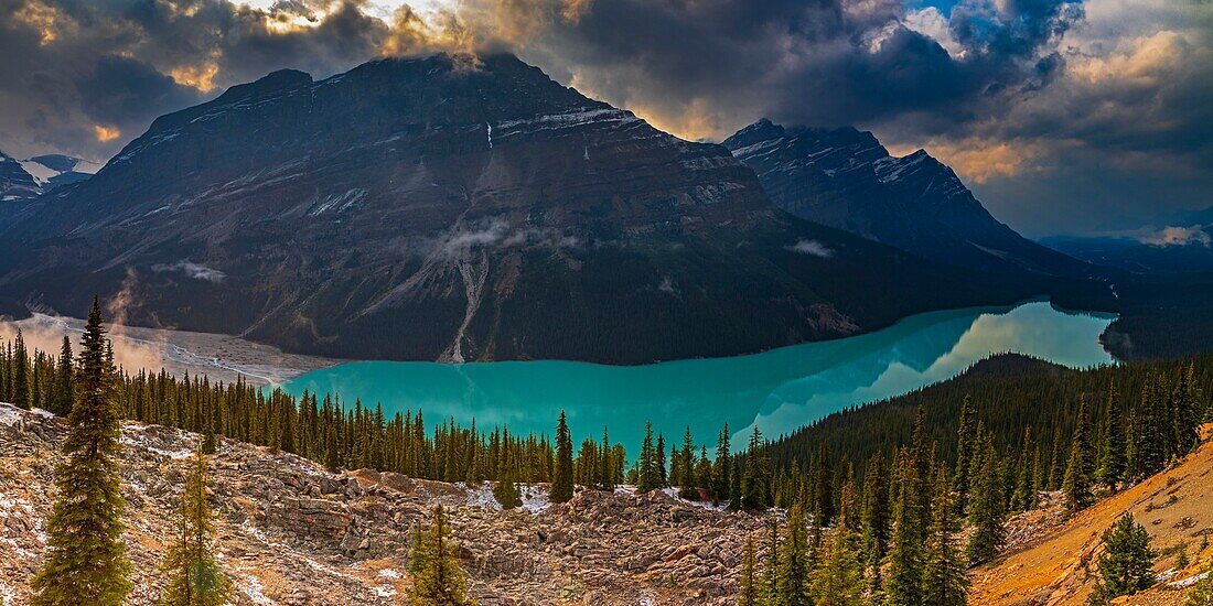 Kanada, Alberta, Kanadische Rocky Mountains, die zum UNESCO-Weltnaturerbe gehören, Banff National Park, Icefields Parkway, Peyto Lake