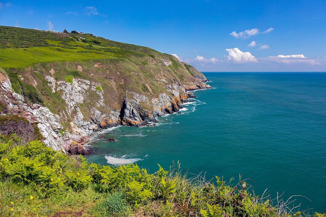 Irland, Grafschaft Fingal, Nördliche Vororte von Dublin, Howth, Klippenwanderweg