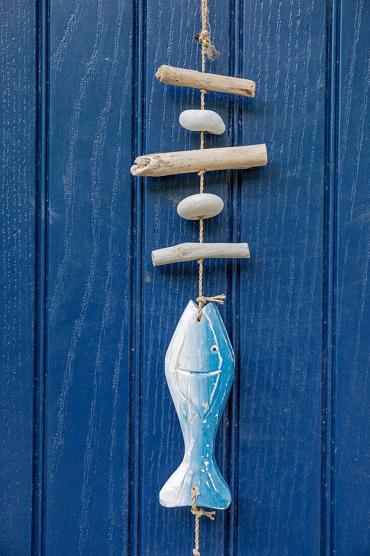 Ireland, Fingal County, northern suburbs of Dublin, Howth, marine decoration on the door of a house