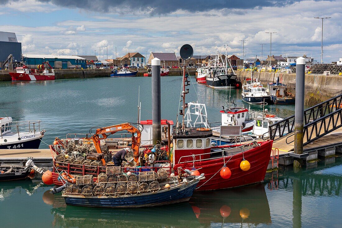 Irland, Grafschaft Fingal, Nördliche Vororte von Dublin, Howth, Fischereihafen