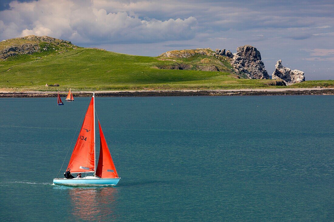 Ireland, Fingal County, northern suburbs of Dublin, Howth, sailboats off the wild island of Ireland's Eye