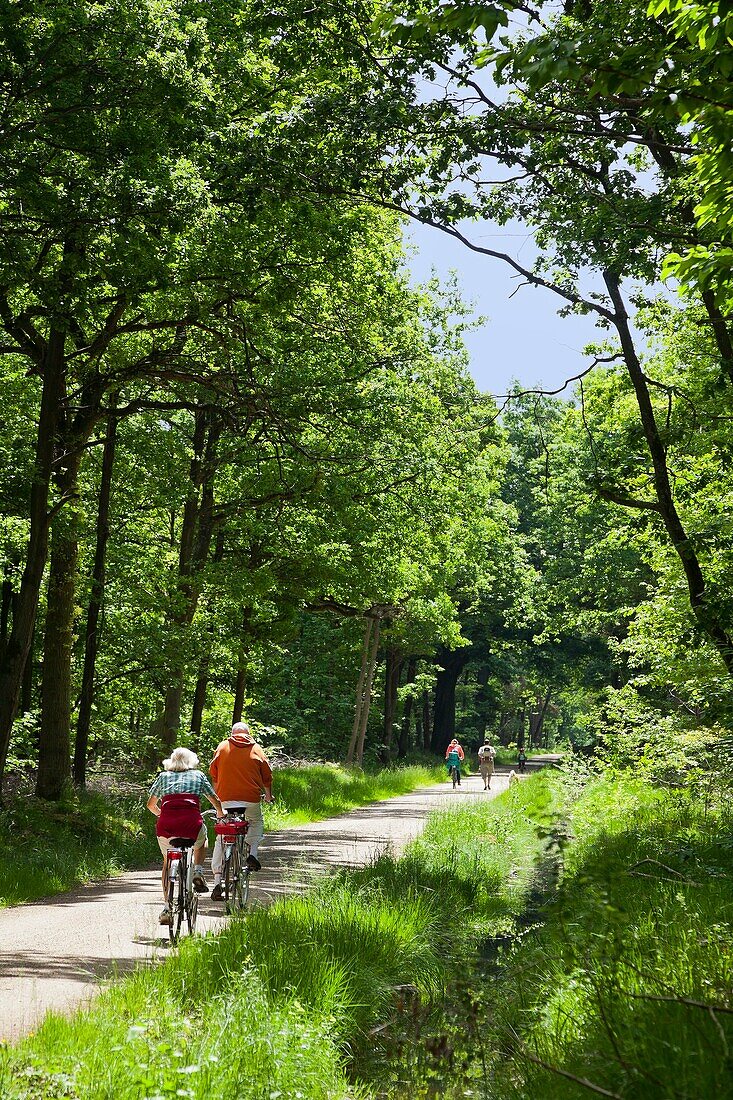 Frankreich, Essonne, Draveil, Forêt de Senart