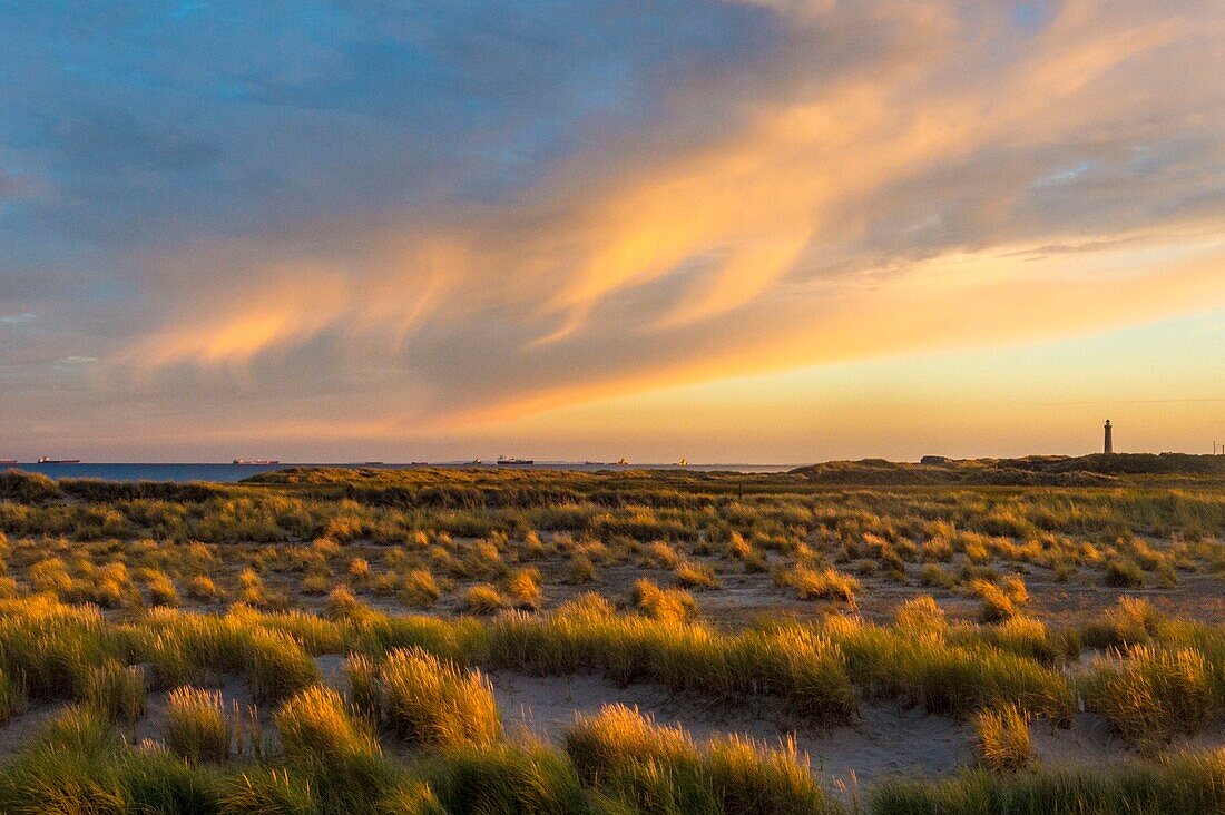 Denmark, North Jutland, the tip of Grenen is a strip of land located in the far north of Denmark, near the town of Skagen, it is the meeting point of two straits, Skagerrak and Kattegat, here at sunset