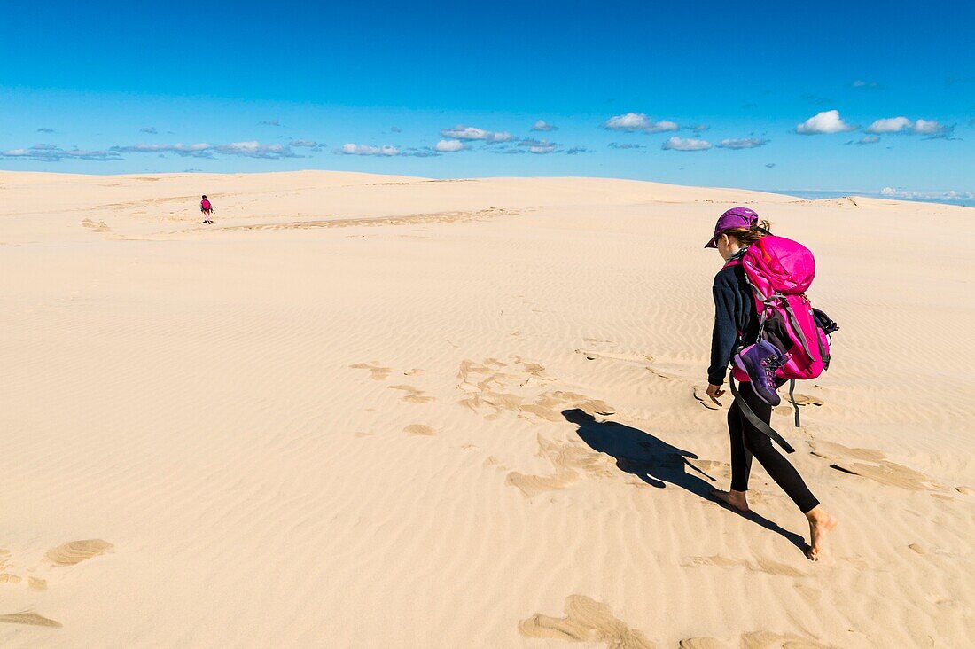 Dänemark, Nordjütland, Råbjerg Mile ist eine Wanderdüne zwischen Skagen und Frederikshavn, sie ist die größte Wanderdüne Nordeuropas mit einer Fläche von 1 km² und einer maximalen Höhe von 40 m. Die Düne wandert mit einer Geschwindigkeit von mehr als 15 m pro Jahr in Richtung Kattegat weiter nach Ost-Nordost