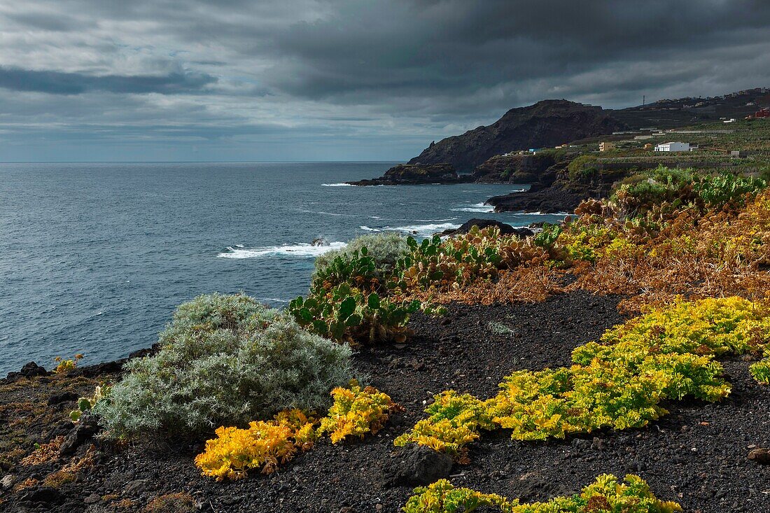 Spanien, Kanarische Inseln, La Palma, Blick auf eine felsige und vulkanische Küstenlinie unter tropischem und ozeanischem Klima