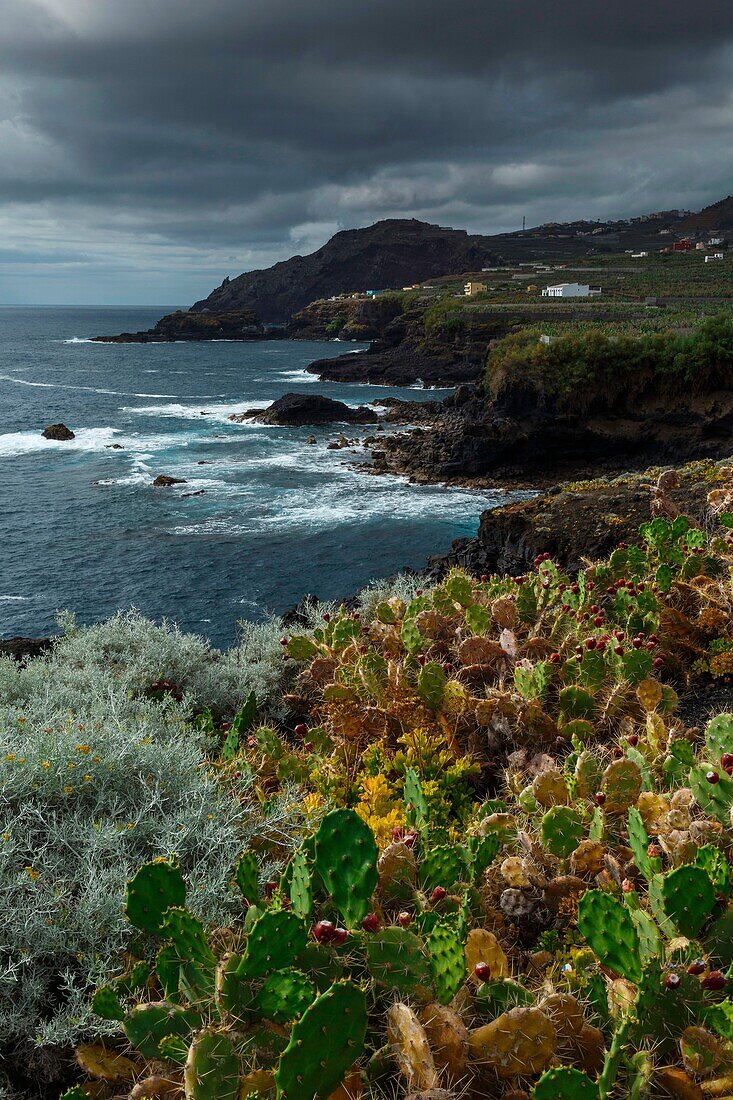 Spanien, Kanarische Inseln, La Palma, Blick auf eine felsige und vulkanische Küstenlinie unter tropischem und ozeanischem Klima