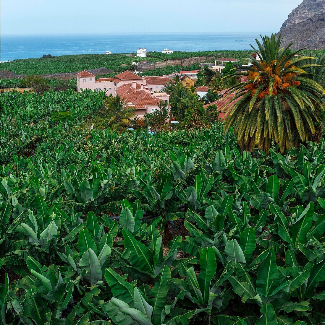 Spanien, Kanarische Inseln, La Palma, Blick auf ein Luxushotel inmitten einer Bananenplantage am Meer