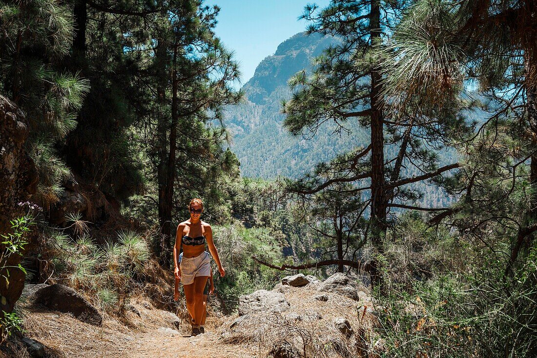 Spain, Canary Islands, La Palma, hikers on a trail in an Atlantic pine forest