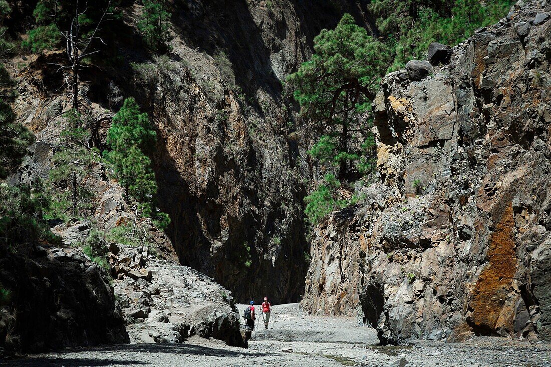 Spanien, Kanarische Inseln, La Palma, Wanderer in einem ausgetrockneten Canyon in einer bergigen und vulkanischen Umgebung