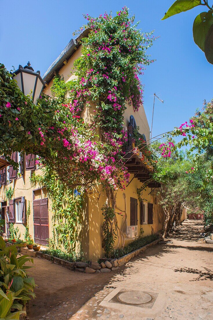 Senegal, Dakar, Insel Goree, UNESCO-Weltkulturerbe, Straßen Saint Charles und Bambaras