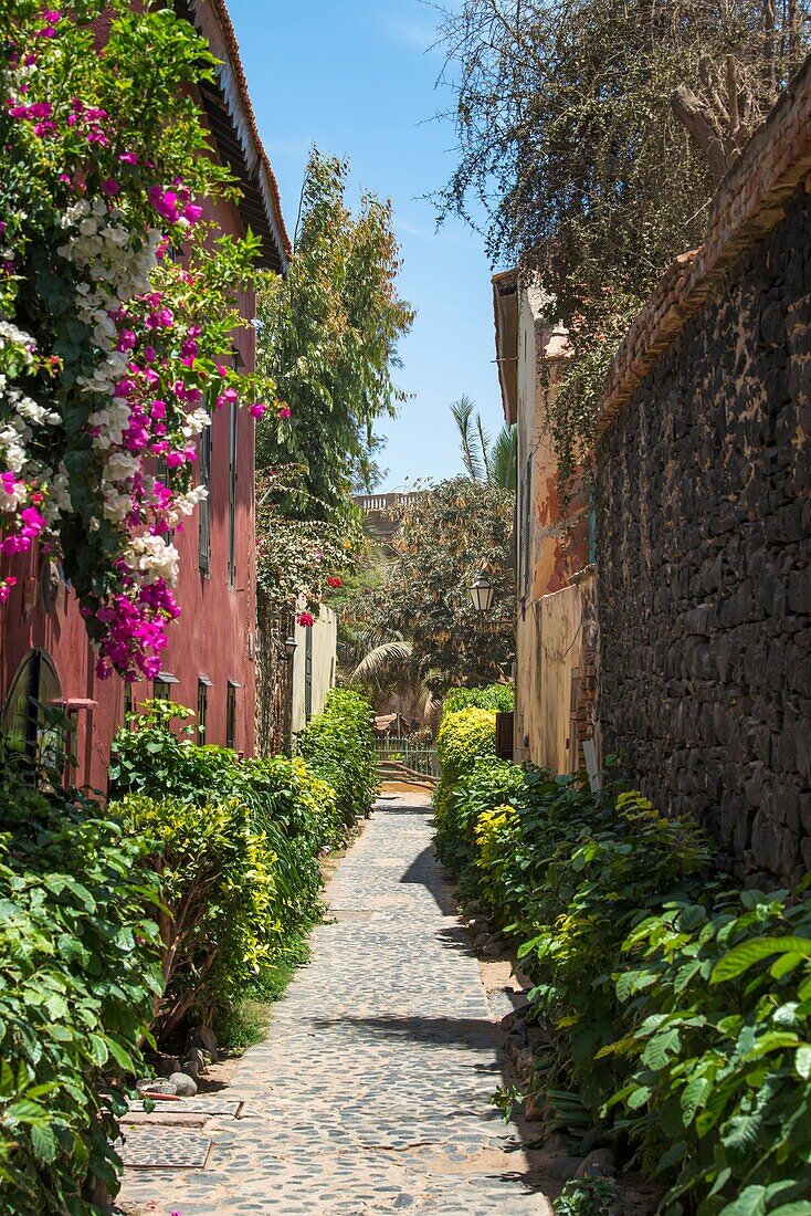 Senegal, Dakar, Goree Island, UNESCO World Heritage Site, Batteleries street