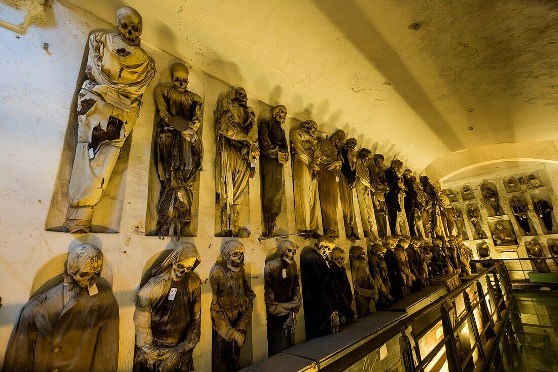 Italy, Sicily, Palermo, catacombs of the Capuchin convent, mumies