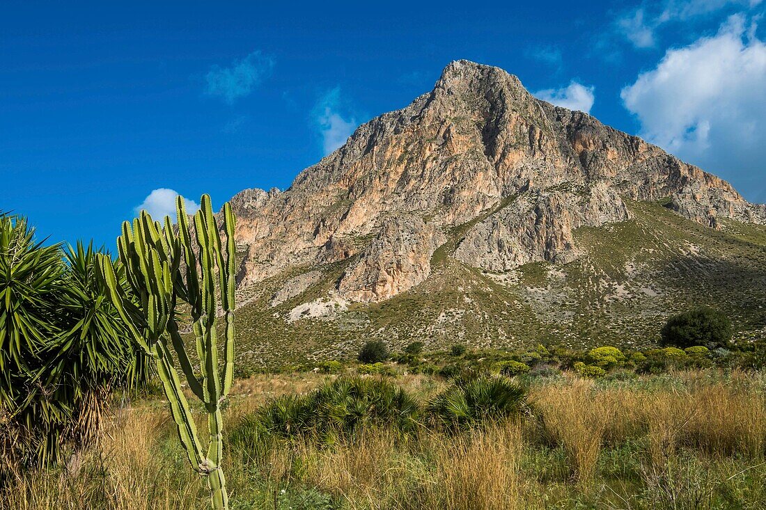 Italien, Sizilien, Cornino, Monte Cofano, 659 m